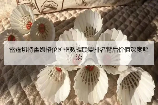 雷霆切特霍姆格伦护框数据联盟排名背后价值深度解读